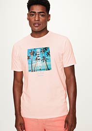 Camiseta com Estampa Walking